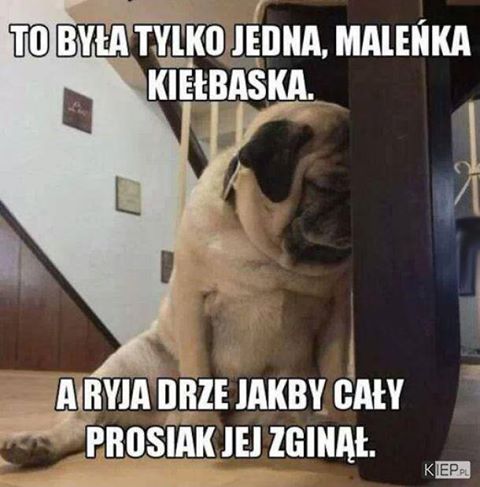 Nie to, że się skarżymy ..choć może i trochę tak ..